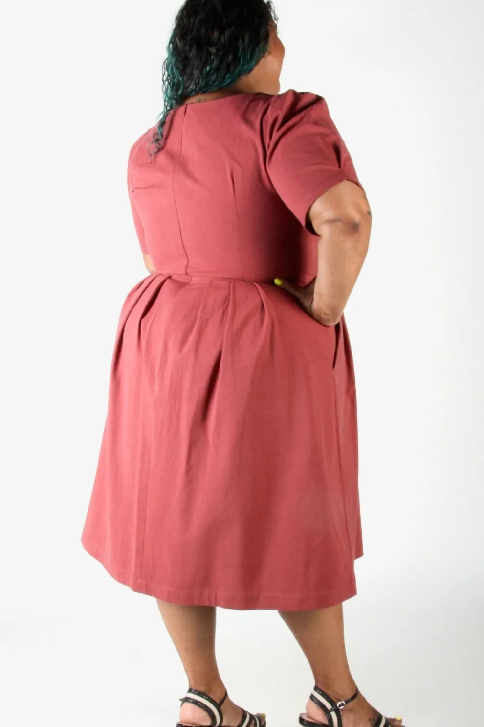 BIRDS OF NORTH AMERICA Dress Crag Martin