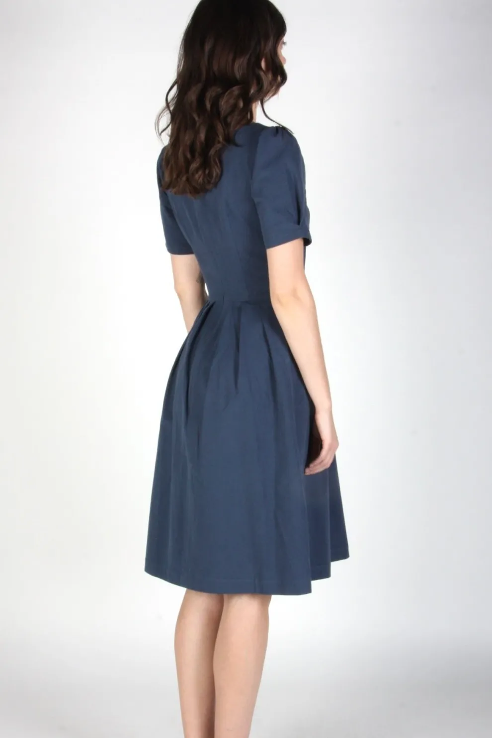 BIRDS OF NORTH AMERICA Dress Crag Martin